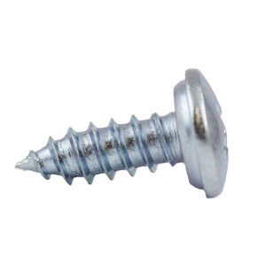 BMW Phillips Tag Screw