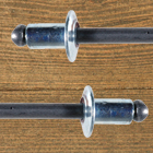 Rivets