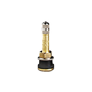 TR500 BRASS TRUCK VALVE 2"