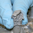Epoxy