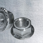Hex Flange Serrated Lock Nuts