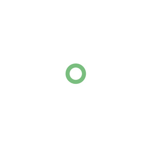 Rover Euro Metric O-Ring Green