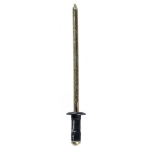 RIVET