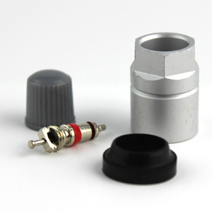 "TPMS Replacement Parts Kit For Nissan, Infiniti"