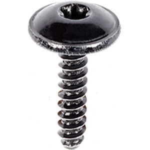 Torx Truss Head Tapping Screw