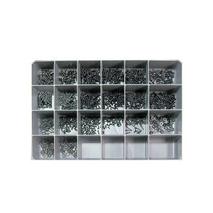 Oval Recessed Countersunk Screw Assortment 1000 Pcs
