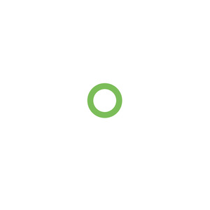 Service O-Ring