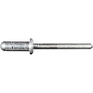 Specialty Rivet