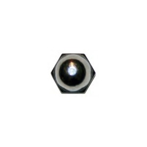 Stainless Steel Cap Nut Nc 1/4-20