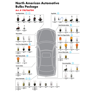 NORTH AMERICAN BULBS NO BIN