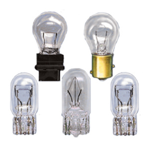 Light Bulb Starter Package