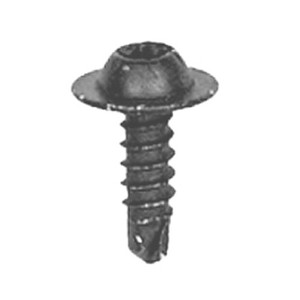 GM Black Torx Drive Washer Head Screw