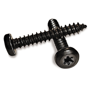 Black Torx Pan Head Self-Tapping Screw #8-1