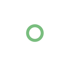10P13/15 Carbon Shft Seal O-Ring