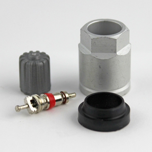 TPMS Replacement Parts Kit For Ford