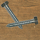Hex Head Lag Screws