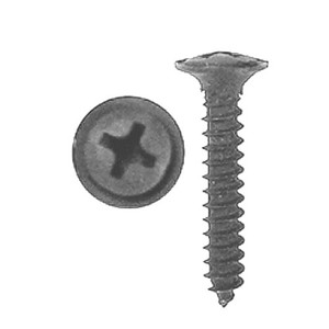 Phillips Oval Head Trim Screw 8X1